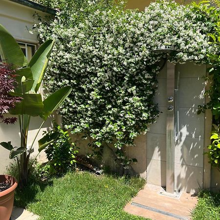 Monolocale Pura Vida Apartman Viareggio Kültér fotó