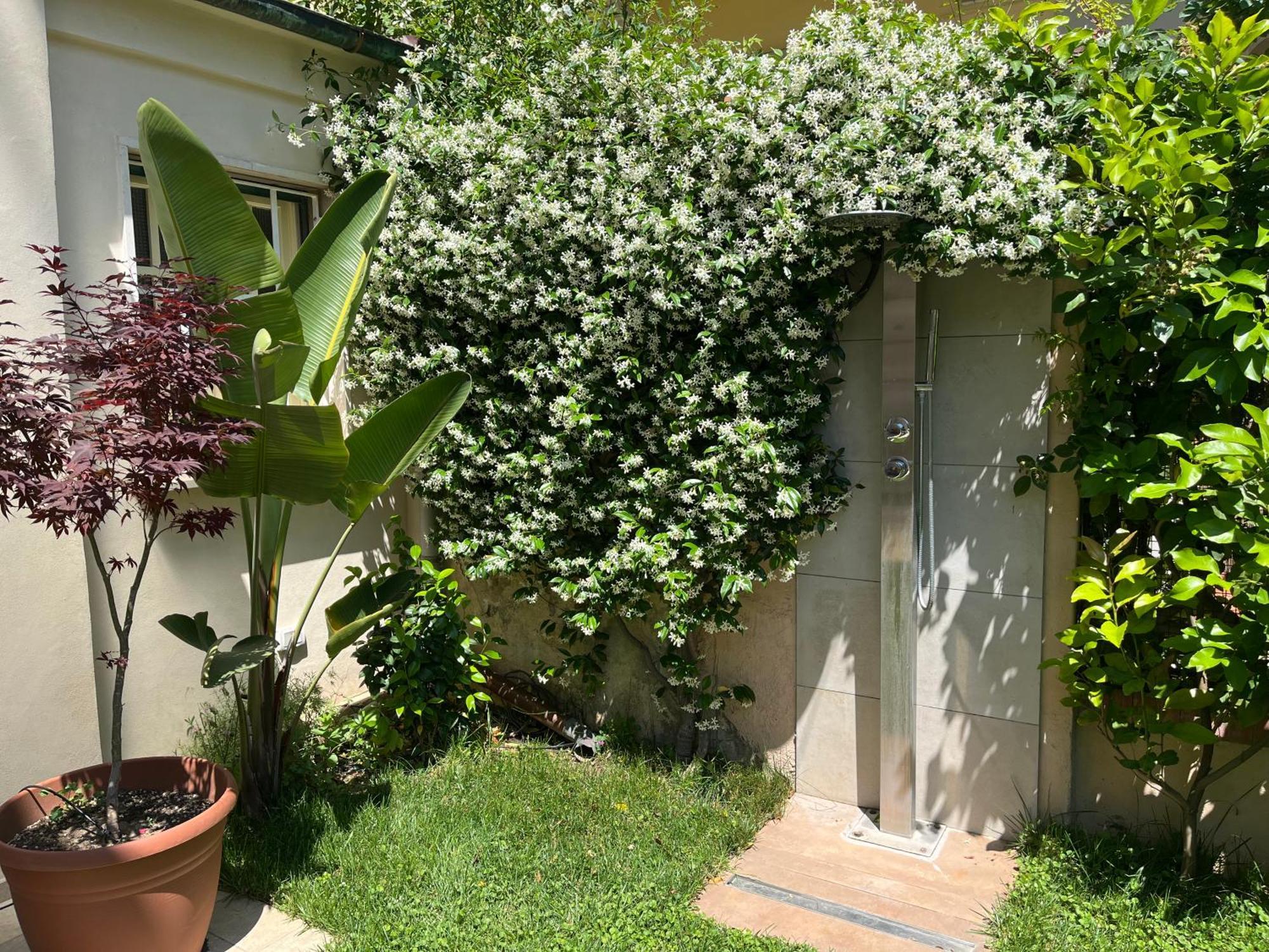Monolocale Pura Vida Apartman Viareggio Kültér fotó